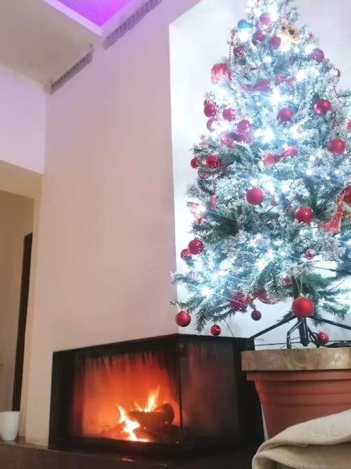 Home Sweet Home Casa Di Luca Gerenzano Εξωτερικό φωτογραφία
